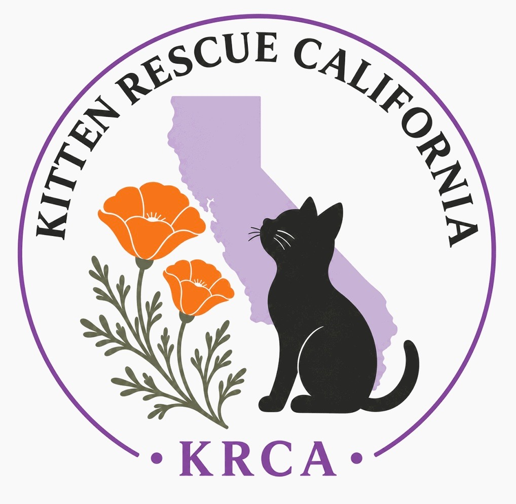 Kitten Rescue California logo: a black kitten and California poppies over a purple California silhouette